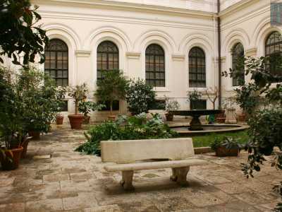 Nell'Ateneo ci sono quattro cortili, tutti pi� o meno ingentiliti da piante, fontanelle e panchine di pietra occupate dagli studenti in pausa pranzo